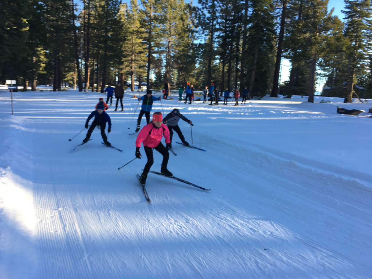 Tahoe cross country striders